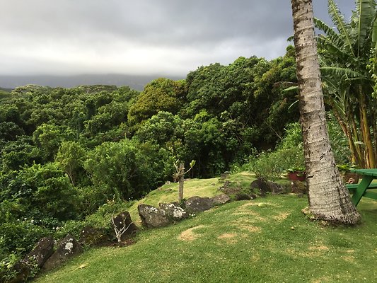 HI50 S6 2015-08-07 17.36.34 HI50 S6 2015-08-07 17.36.34