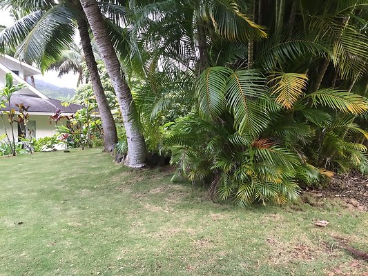 HI50 S6 2015-08-07 17.27.47 HI50 S6 2015-08-07 17.27.47