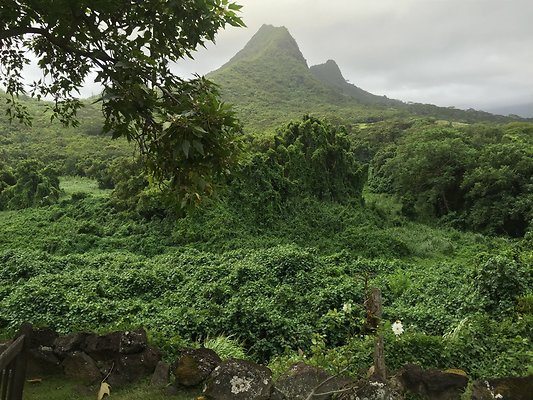 HI50 S6 2015-08-07 17.36.32 HI50 S6 2015-08-07 17.36.32