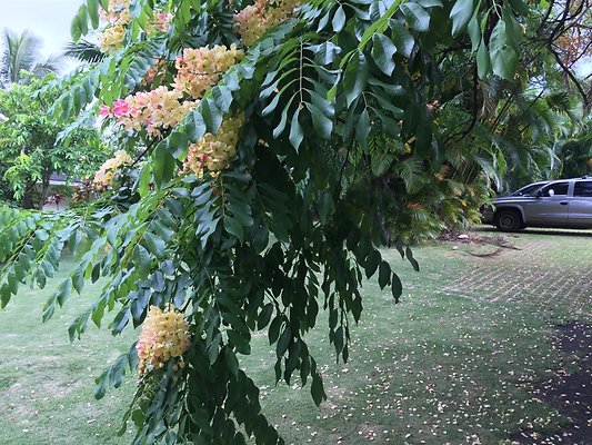 HI50 S6 2015-08-07 17.28.41 HI50 S6 2015-08-07 17.28.41