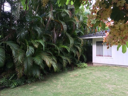 HI50 S6 2015-08-07 17.28.23 HI50 S6 2015-08-07 17.28.23