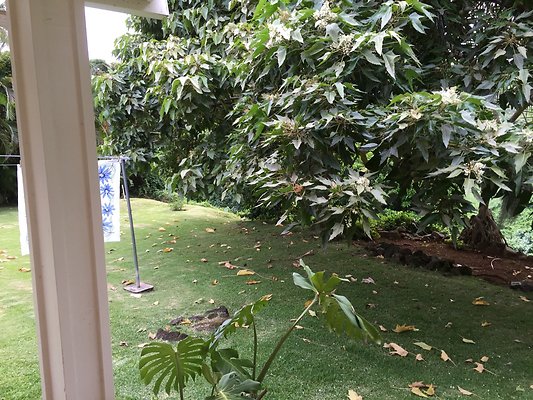 HI50 S6 2015-08-07 17.37.05 HI50 S6 2015-08-07 17.37.05