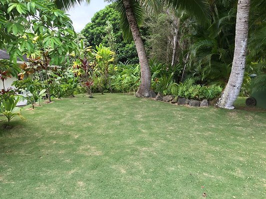 HI50 S6 2015-08-07 17.29.13 HI50 S6 2015-08-07 17.29.13