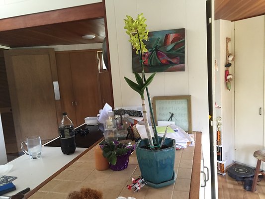 HI50 S6 2015-08-07 14.56.35 HI50 S6 2015-08-07 14.56.35