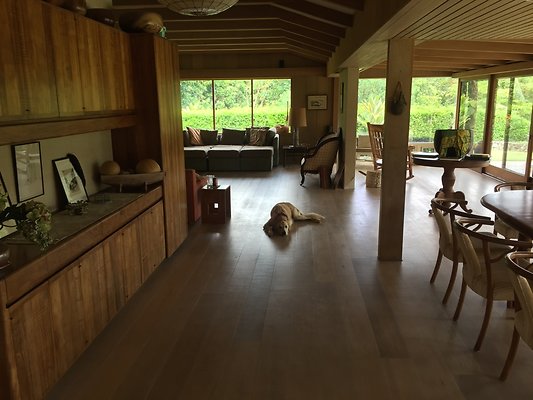 HI50 S6 2015-08-07 14.53.25 HI50 S6 2015-08-07 14.53.25