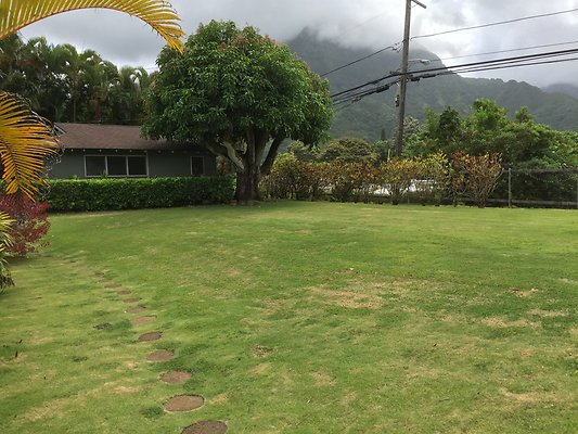 HI50 S6 2015-08-07 14.51.33 HI50 S6 2015-08-07 14.51.33