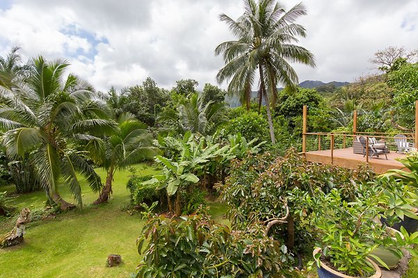 HI50 S6 1202Lunaai -4 HI50 S6 1202Lunaai -4