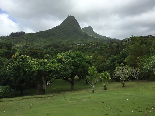 HI50 S6 2015-08-07 14.59.25 HI50 S6 2015-08-07 14.59.25