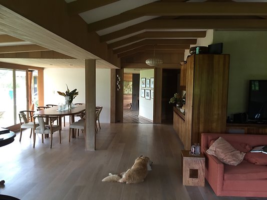 HI50 S6 2015-08-07 14.53.53 HI50 S6 2015-08-07 14.53.53