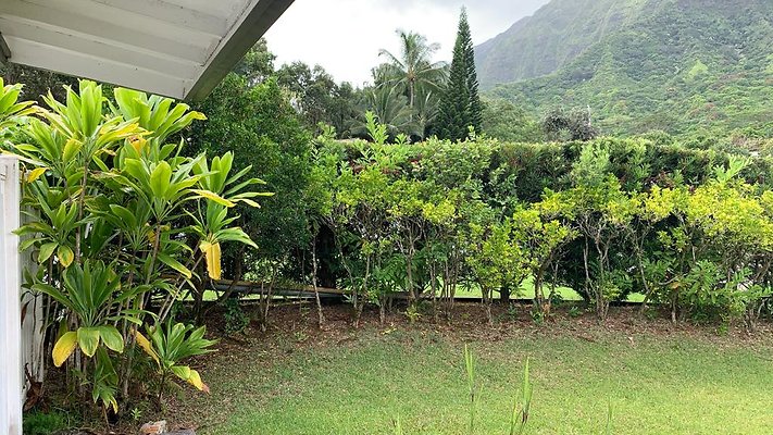 th IMG 4421 th IMG 4421