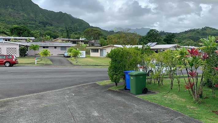 th IMG 4423 th IMG 4423