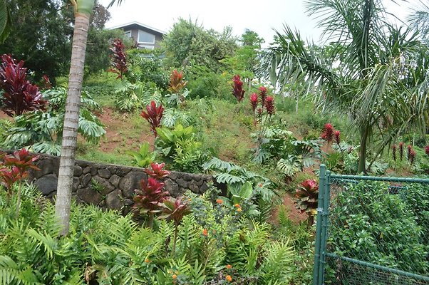 th DSC 0375 th DSC 0375