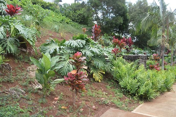 th DSC 0364 th DSC 0364