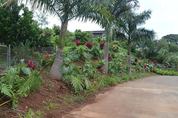 th DSC 0358 th DSC 0358