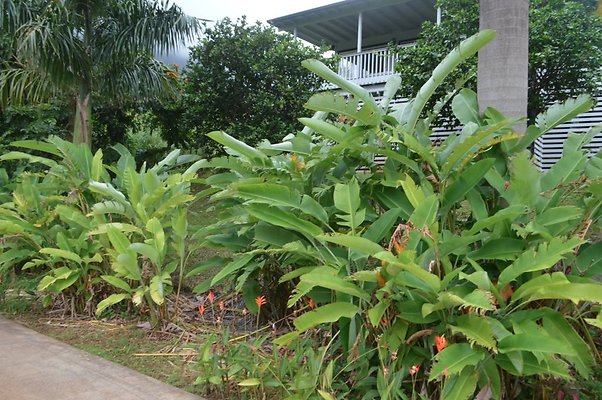 th DSC 0363 th DSC 0363