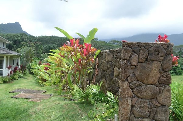 th DSC 0369 th DSC 0369