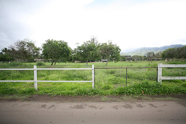 68-569CroziersDrive Pfeffers-101