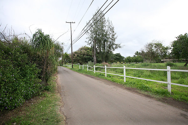 68-569CroziersDrive Pfeffers-102