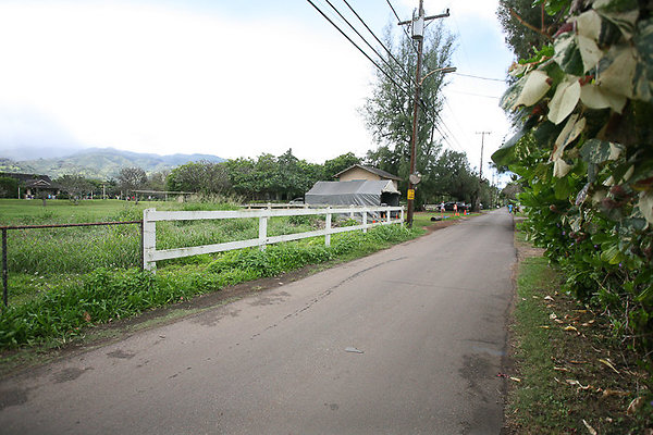 68-569CroziersDrive Pfeffers-100