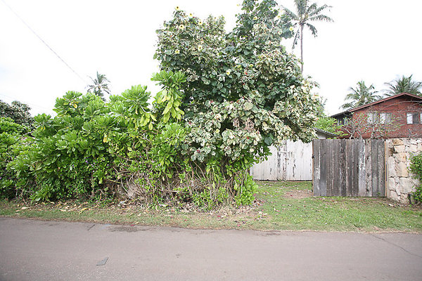 68-569CroziersDrive Pfeffers-103