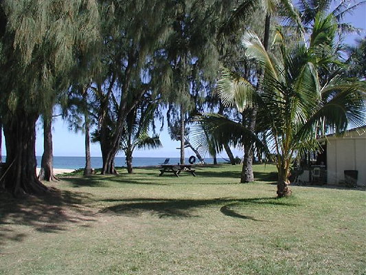 Helms Bay Mokuleia 6 - OLYMPUS DIGITAL CAMERA Helms Bay Mokuleia 6 - OLYMPUS DIGITAL CAMERA