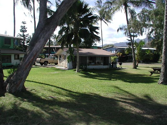 Helms Bay Mokuleia 5 - OLYMPUS DIGITAL CAMERA Helms Bay Mokuleia 5 - OLYMPUS DIGITAL CAMERA