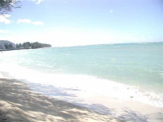 Helms Bay Mokuleia 11 - OLYMPUS DIGITAL CAMERA Helms Bay Mokuleia 11 - OLYMPUS DIGITAL CAMERA