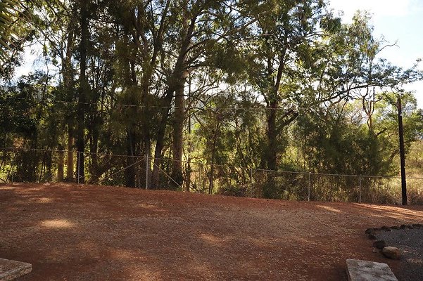 th DSC 6527 th DSC 6527