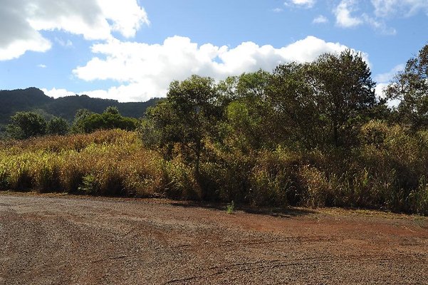 th DSC 6518 th DSC 6518