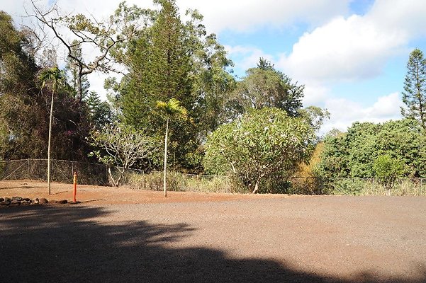 th DSC 6529 th DSC 6529