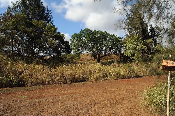 th DSC 6519 th DSC 6519