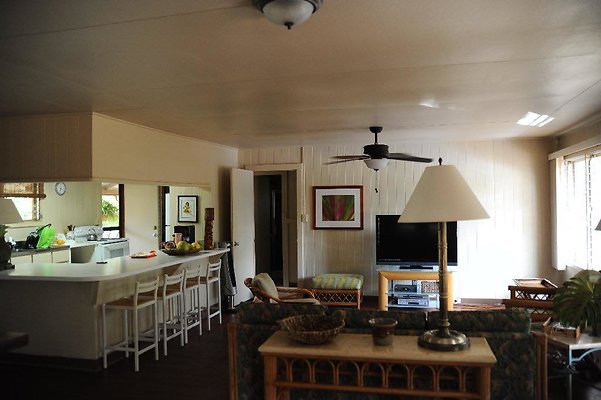 th DSC 6534 th DSC 6534