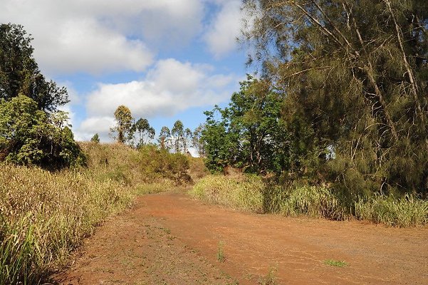 Managers House Managers House