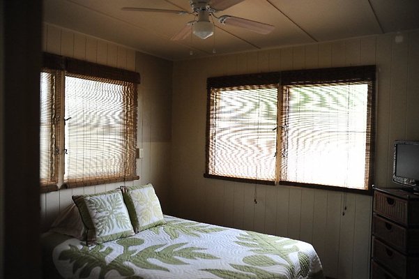 th DSC 6547 th DSC 6547