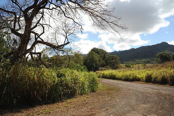 th DSC 6517 th DSC 6517