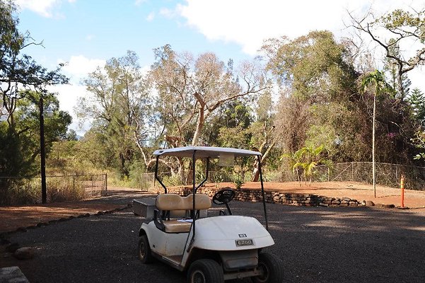 th DSC 6528 th DSC 6528