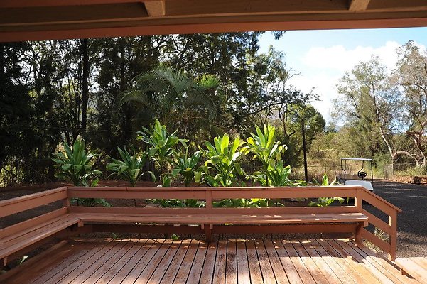 th DSC 6531 th DSC 6531