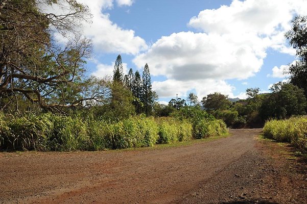 th DSC 6516 th DSC 6516