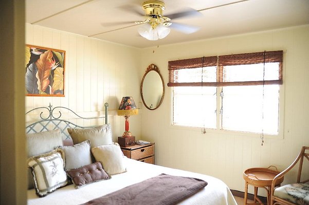 th DSC 6542 th DSC 6542