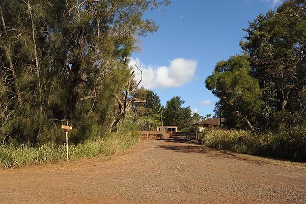 th DSC 6515 th DSC 6515