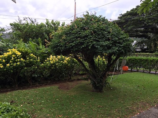 HI50 S6 2015-10-14 14.16.38