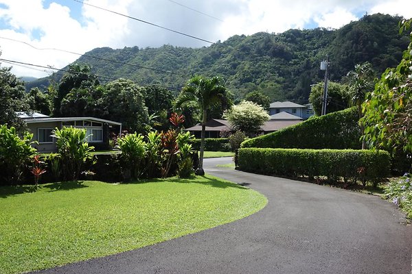 th DSC00700 th DSC00700