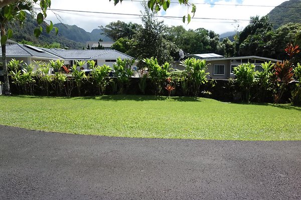 th DSC00699 th DSC00699