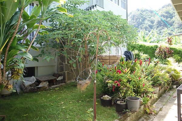 th DSC00711c th DSC00711c