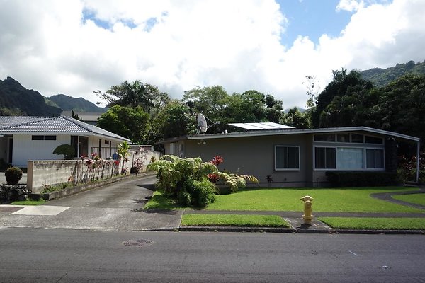 th DSC00685b th DSC00685b