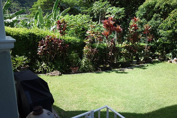 th DSC00712a th DSC00712a