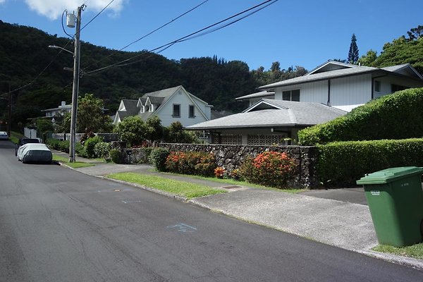 th DSC00684a th DSC00684a