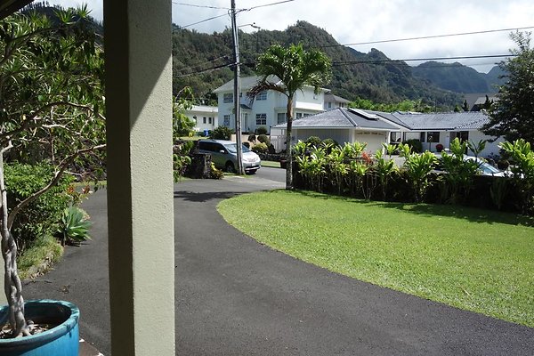 th DSC00698 th DSC00698