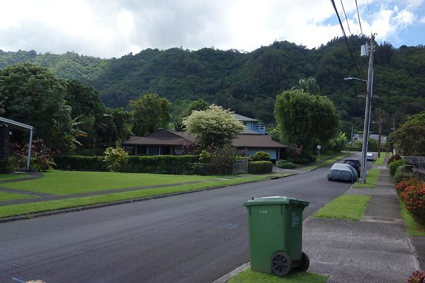 th DSC00685c th DSC00685c