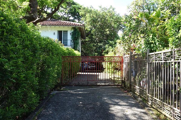 Nuuanu 72 Dowsett Ave Alisan & Eesha 808. Nuuanu 72 Dowsett Ave Alisan & Eesha 808.